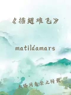 《插翅难飞》