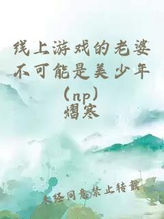 线上游戏的老婆不可能是美少年（np）