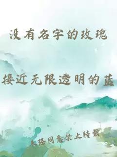 没有名字的玫瑰