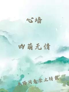 心墙